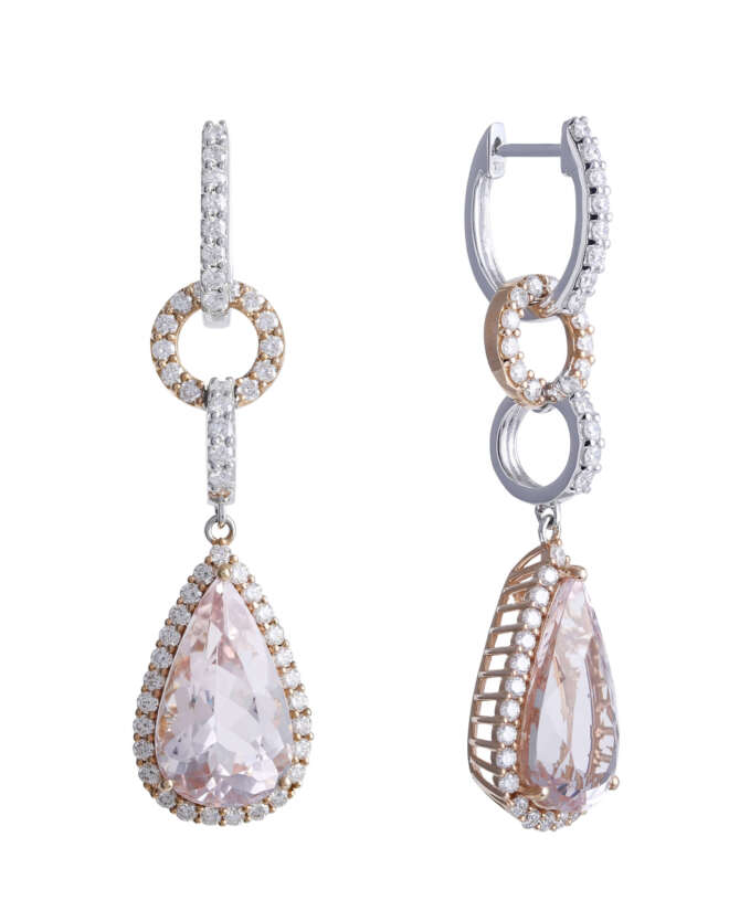 Frozen Earrings